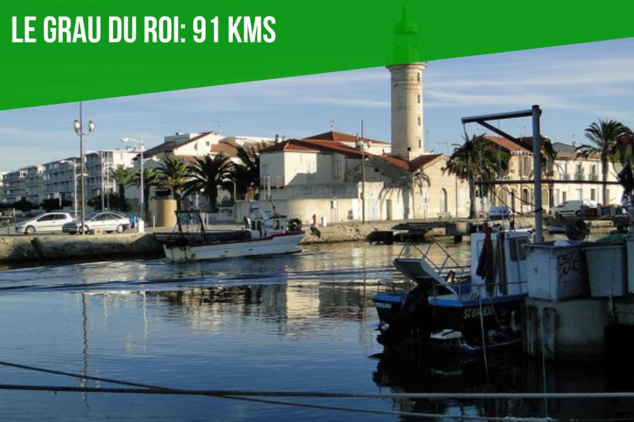 Le Cocon Des Halles 3 - Intra Muros - Ac Clim - Wifi Apartment Avignon Ngoại thất bức ảnh